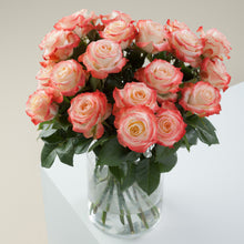 Farmer's Choice Bi-Color Pastel Long Stem Roses
