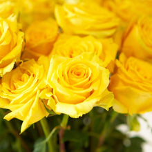Farmer's Choice Roses