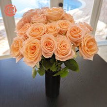 Cozy Peach Long Stem Roses