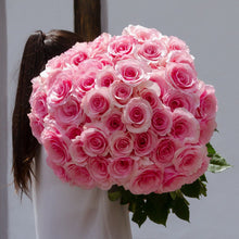 Pink Passion Long Stem Roses