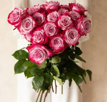 Magenta & Lavender Bi-Color Stunner Long Stem Roses