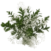 Baby's Breath & Ruscus Leaves