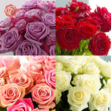 Farmer's Choice Roses
