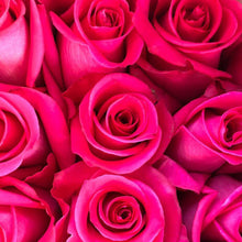 stacked hot pink roses 
