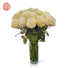 Green Goddess Long Stem Roses
