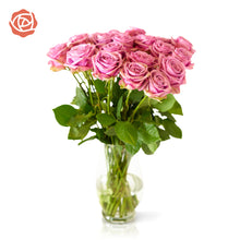 bouquet in vase of Purple Attraction Long Stem Roses have a hint of lavender in the center
