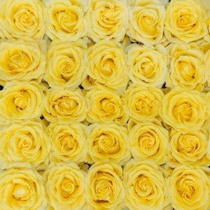 bright yellow long stem roses with golden sun like quality 